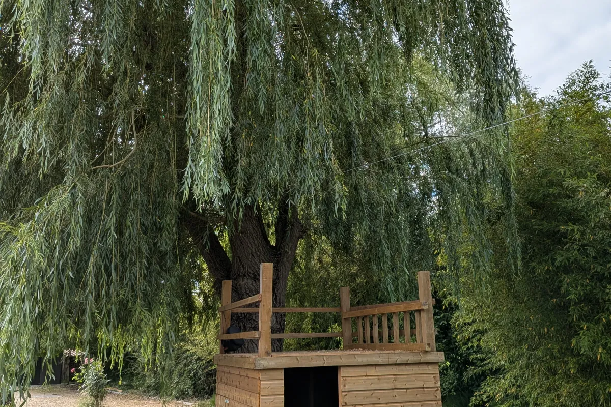 La cabane en bois des enfants, sous le grand saule pleureur — L'Escale du Midi, Renneville