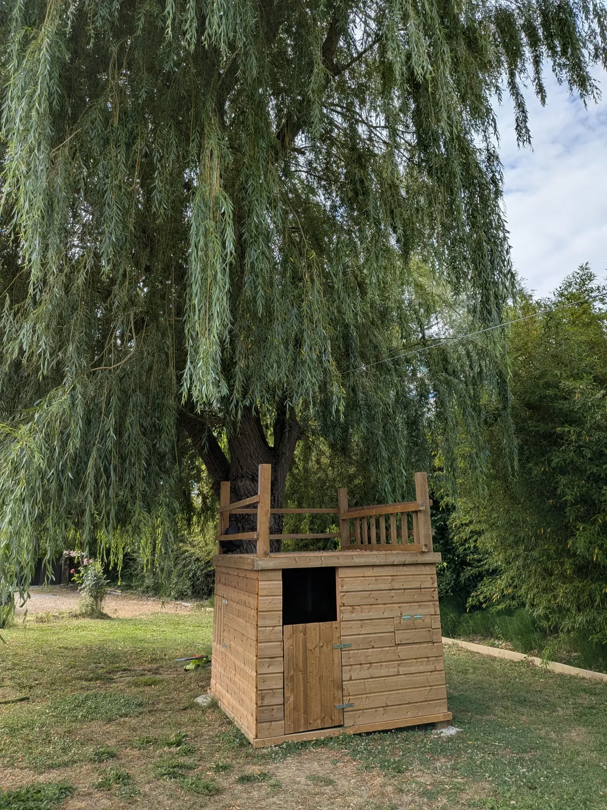 La cabane en bois des enfants, sous le grand saule pleureur — L'Escale du Midi, Renneville